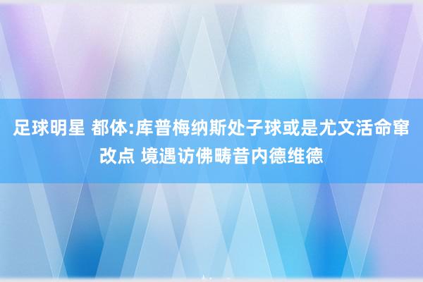 足球明星 都体:库普梅纳斯处子球或是尤文活命窜改点 境遇访佛畴昔内德维德