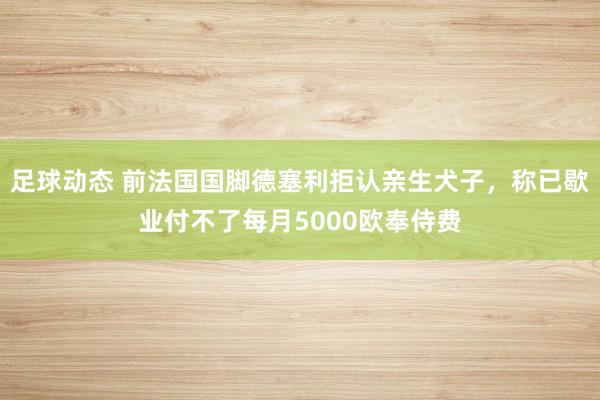 足球动态 前法国国脚德塞利拒认亲生犬子，称已歇业付不了每月5000欧奉侍费