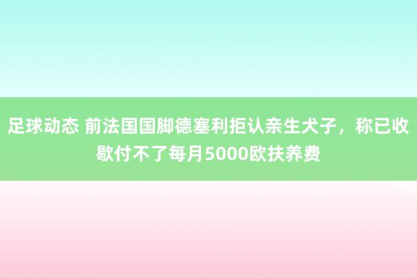 足球动态 前法国国脚德塞利拒认亲生犬子，称已收歇付不了每月5000欧扶养费