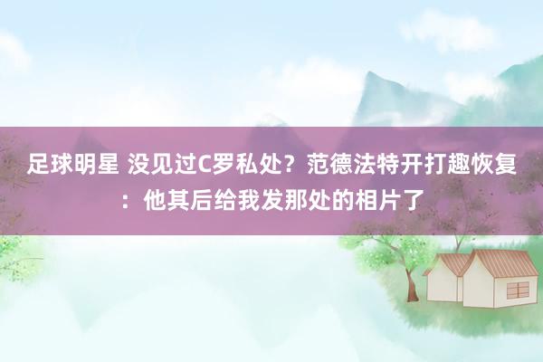 足球明星 没见过C罗私处？范德法特开打趣恢复：他其后给我发那处的相片了