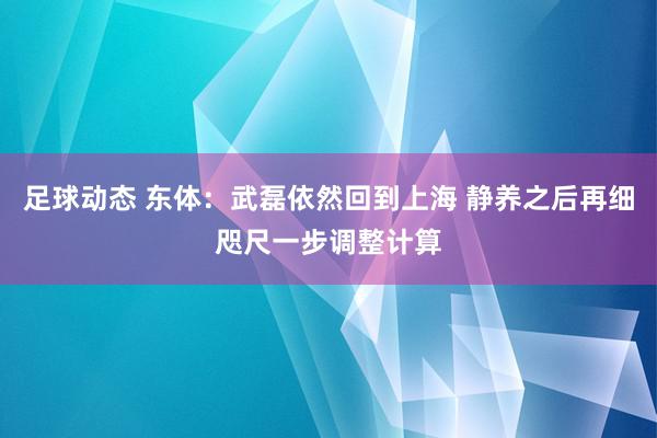 足球动态 东体：武磊依然回到上海 静养之后再细咫尺一步调整计算