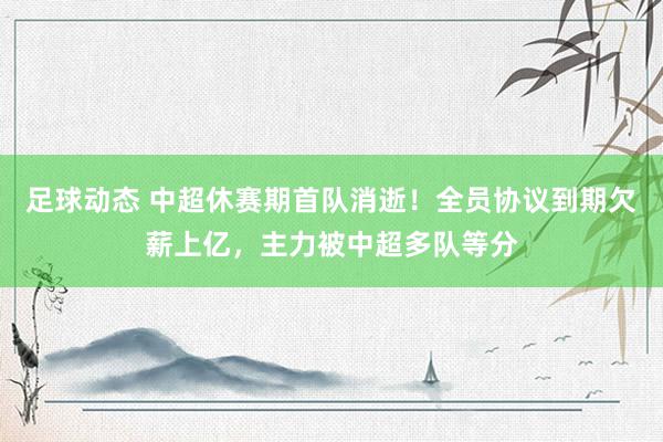 足球动态 中超休赛期首队消逝！全员协议到期欠薪上亿，主力被中超多队等分