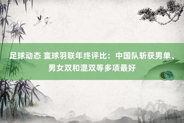 足球动态 寰球羽联年终评比：中国队斩获男单、男女双和混双等多项最好